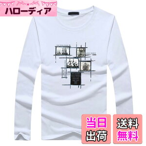 �y���������zBUZZxSELECTION(�o�Y �Z���N�V����) T�V���c ���� ����T �J�b�g�\�[ �C���i�[ ������� �J�W���A�� �����Y TSL031 �F�F01 �z���C�g�A�T�C�Y�FXL