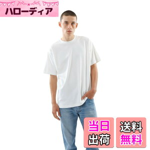 �y���������zHanes T�V���c ���� SHIRO ��100% �ۓ��d�l �^�O���X�d�l �w�C���YT�V���c���N���[�l�b�NT�V���c �A���_�[�E�F�A�����Y�A���_�[�E�F�A ���� ��100�� �ۓ��d�l �^�O���X�d�l 1P Hanes T-SH