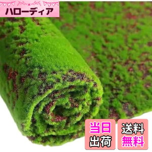 �y���������z�yGood in three directions�z�t�B�M���A �W�I���}�p �X�ёf�� �l�H�� �ŃV�[�g figma �t�B�M���A�L���A�A�[�c �X�� �F�F�ŃV�[�gA�A�T�C�Y�F50 x 50 cm