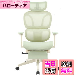 �y���������zFLEXISPOT �I�t�B�X�`�F�A �f�X�N�`�F�A C7 �l�ԍH�w �G���S�m�~�N�X�`�F�A ���b�V���`�F�A �Ɨ��^�����o�[�T�|�[�g ���N���C�j���O�\ �V���N�����b�L���O ���i�K�Œ� �O�X�`��