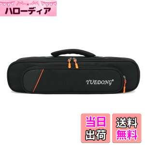 �y���������zMoonEmbassy �f�W�^���Ǌy��\�t�g�P�[�X,Roland AE-01 �G�A���t�H����p�o�b�O,�V�����_�[�X�g���b�v