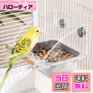 【送料無料】IYOIYA 鳥 餌入れ 飛び散らない えさ皿 バードフィーダー インコ 餌台 餌箱 ステンレス 大容…