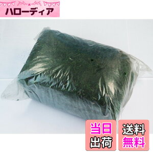 �y���������z�yGood in three directions�z500g �h���C���X �l�H�� ���A�� �v���U�[�u�h���X �C���e���A �t�F�C�N�O���[�� �O���[�����X �F�F�O���[���A�T�C�Y�F�ʏ�