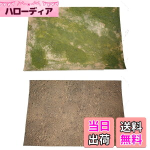�y���������z�yGood in three directions�z41x29cm ����y 1/35 �T�C�Y��ԑ� �W�I���} �t�B�M���A �p �W�I���}�V�[�g 2��� �Z�b�g (�n��) �F�F�n�� A�A�T�C�Y�F41cmx29cm