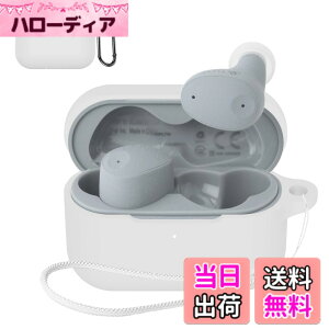 �y���������zSOUNDPEATS GoFree2 �P�[�X �F�F�z���C�g(final ZE300)�A�T�C�Y�Ffinal (�t�@�C�i��) ZE300 �ی�J�o�[