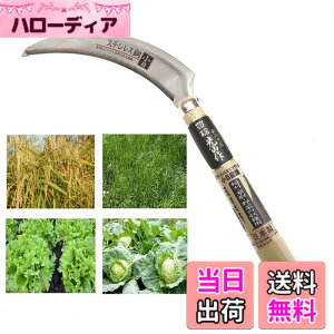 �y���������z�L��(HOUNEN) �X�e�����X��2���|���� ���ʖ�(�X�^���_�[�h�^�C�v) HTS-1210