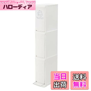 �y���������zAZUMAYA �_�X�g�{�b�N�X �F�F�z���C�g�A�T�C�Y�F3D