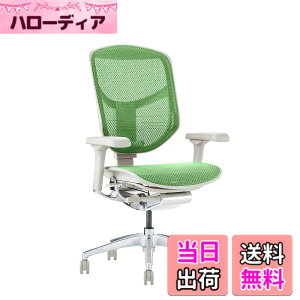 �y���������z�G���S�q���[�}��2(ergohuman2) �I�t�B�X�`�F�A ENJOY �G���W���C �F�F���b�V��:�O���[�� / �t���[��:�O���[�A�T�C�Y�F���[�^�C�v