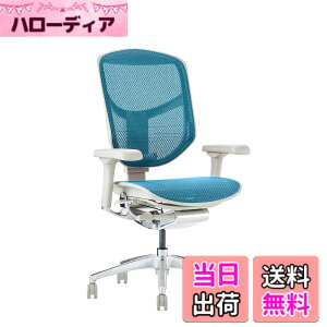 �y���������z�G���S�q���[�}��2(ergohuman2) �I�t�B�X�`�F�A ENJOY �G���W���C �F�F���b�V��:�O���[ / �t���[��:�O���[�A�T�C�Y�F���[�^�C�v