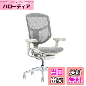 �y���������z�G���S�q���[�}��2(ergohuman2) �I�t�B�X�`�F�A ENJOY �G���W���C �F�F���b�V��:�z���C�g / �t���[��:�O���[�A�T�C�Y�F���[�^�C�v