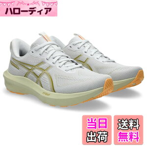 �y���������zasics(�A�V�b�N�X) �����Y GT-1000 14�����j���O�V���[�Y �F�F100(�z���C�g/�������O���X)�A�T�C�Y�F30.0 cm 2E