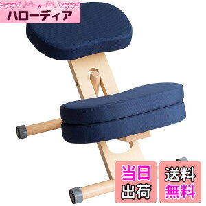�y���������z�v���|�[�V�����`�F�A �W���͂����܂�֎q �p���T�|�[�g �⏕�N�b�V�����t �F�F�l�C�r�[�A�T�C�Y�FCH-N889CK