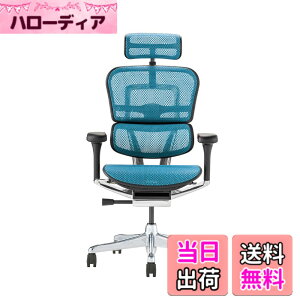 �y���������z�G���S�q���[�}��2(Ergohuman2) �I�t�B�X�`�F�A �F�F�t���[��:BLACK / ���b�V��:BLUE�A�T�C�Y�F�n�C�^�C�v