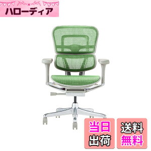 �y���������z�G���S�q���[�}��2(Ergohuman2) �I�t�B�X�`�F�A �F�F�t���[��:GRAY / ���b�V��:GREEN�A�T�C�Y�F���[�^�C�v