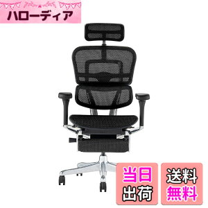 �y���������z�G���S�q���[�}��2(Ergohuman2) �I�t�B�X�`�F�A �F�F�t���[��:BLACK / ���b�V��:BLACK�A�T�C�Y�F�n�C�^�C�v�E�I�b�g�}������