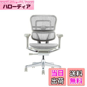 �y���������z�G���S�q���[�}��2(Ergohuman2) �I�t�B�X�`�F�A �F�F�t���[��:GRAY/ ���b�V��:WHITE�A�T�C�Y�F���[�^�C�v