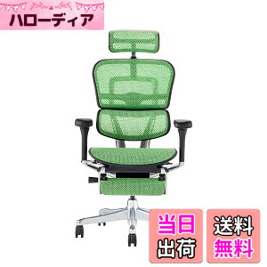 �y���������z�G���S�q���[�}��2(Ergohuman2) �I�t�B�X�`�F�A �F�F�t���[��:BLACK / ���b�V��:GREEN�A�T�C�Y�F�n�C�^�C�v�E�I�b�g�}������