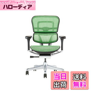 �y���������z�G���S�q���[�}��2(Ergohuman2) �I�t�B�X�`�F�A �F�F�t���[��:BLACK / ���b�V��:GREEN�A�T�C�Y�F���[�^�C�v