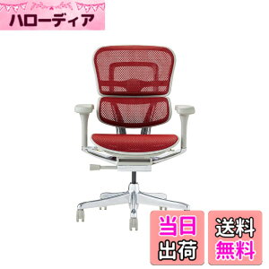 �y���������z�G���S�q���[�}��2(Ergohuman2) �I�t�B�X�`�F�A �F�F�t���[��:GRAY / ���b�V��:RED�A�T�C�Y�F���[�^�C�v