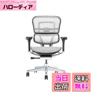 �y���������z�G���S�q���[�}��2(Ergohuman2) �I�t�B�X�`�F�A �F�F�t���[��:BLACK / ���b�V��:WHITE�A�T�C�Y�F���[�^�C�v