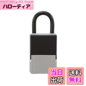 �y���������z���{���b�N�T�[�r�X ABUS �J�M�̕ۊǂ�󂯓n���ɕ֗� �J�M�̗a���蔠 mini DS-KB-2M �F�F�h���ς݁B