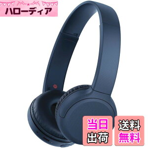 �y���������z�\�j�[ ���C�����X�w�b�h�z�� WH-CH510 / bluetooth / AAC�Ή� / �ő�35���ԘA���Đ� 2019�N���f�� / �}�C�N�t�� /�u���[ WH-CH510 L �F�F�u���[�A�T�C�Y�F1�� (x 1)