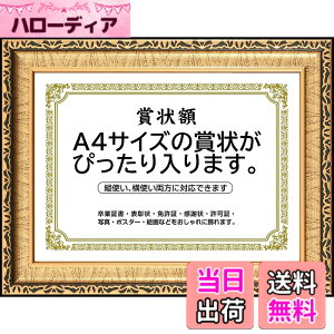 �y���������z�܏�z�� ���� �t�H�g�t���[�� �ʐ^���� �ʐ^���� A4�EA3�T�C�Y �Ǌ|�� �c���Ή� �񂹏��� ���J�� �F�菑 ���ӏ� �C���� ���Ə؏� �\����z�������� �u���C�_�� �|�X�^�[ �Ƒ���