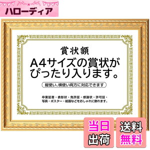 �y���������z�܏�z�� ���� �t�H�g�t���[�� �ʐ^���� �ʐ^���� A4�EA3�T�C�Y �Ǌ|�� �c���Ή� �񂹏��� ���J�� �F�菑 ���ӏ� �C���� ���Ə؏� �\����z�������� �u���C�_�� �|�X�^�[ �Ƒ���