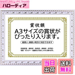 �y���������z�܏�z�� ���� �t�H�g�t���[�� �ʐ^���� �ʐ^���� A4�EA3�T�C�Y �Ǌ|�� �c���Ή� �񂹏��� ���J�� �F�菑 ���ӏ� �C���� ���Ə؏� �\����z�������� �u���C�_�� �|�X�^�[ �Ƒ���