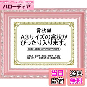 �y���������z�܏�z�� ���� �t�H�g�t���[�� �ʐ^���� �ʐ^���� A4�EA3�T�C�Y ���F �Ǌ|�� �c���Ή� �񂹏��� ���J�� �F�菑 ���ӏ� �C���� ���Ə؏� �\����z�������� �u���C�_�� �|�X�^�[ ��