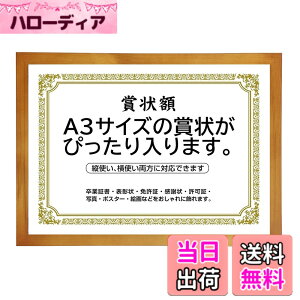 �y���������z�܏�z�� ���� �t�H�g�t���[�� �ʐ^���� �ʐ^���� A4�EA3�T�C�Y �Ǌ|�� �c���Ή� �񂹏��� ���J�� �F�菑 ���ӏ� �C���� ���Ə؏� �\����z�������� �u���C�_�� �|�X�^�[ �Ƒ���