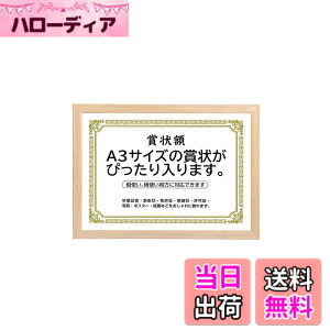 �y���������z�܏�z�� ���� �t�H�g�t���[�� �ʐ^���� �ʐ^���� A4�EA3�T�C�Y �Ǌ|�� �c���Ή� �񂹏��� ���J�� �F�菑 ���ӏ� �C���� ���Ə؏� �\����z�������� �u���C�_�� �|�X�^�[ �Ƒ���