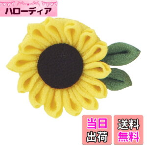 �y���������z�I�����p�X���N(Olympus Thred) �͂��߂Ă̂܂ݍ׍H �L�b�g �u���[�` OLY-TZ �F�F�C�G���[�A�T�C�Y�F�Z���F