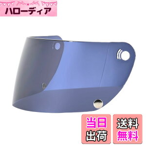 �y���������z���[�h�H��(LEAD) �I�v�V���� RX-100R�p �F�F�X���[�N�A�T�C�Y�FFree Size