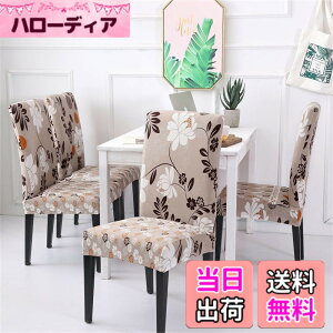 �y���������z[�j���[�o�����X] �X�j�[�J�[ WL373 B ���f�B�[�X �F�F�O���[�A�T�C�Y�F23.5 cm