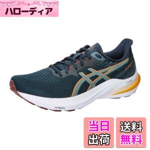 �y���������zasics(�A�V�b�N�X) �����Y GT-2000 12�����j���O�V���[�Y �F�F401(�t�����`�u���[/�t�H�M�[�e�B�[��)�A�T�C�Y�F27.0 cm 4E