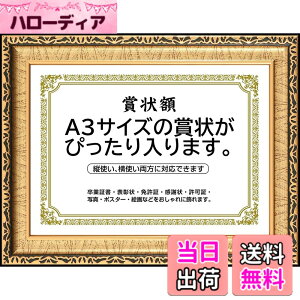 �y���������z�܏�z�� ���� �t�H�g�t���[�� �ʐ^���� �ʐ^���� A4�EA3�T�C�Y �Ǌ|�� �c���Ή� �񂹏��� ���J�� �F�菑 ���ӏ� �C���� ���Ə؏� �\����z�������� �u���C�_�� �|�X�^�[ �Ƒ���