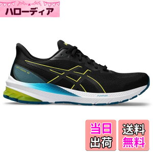 �y���������zasics(�A�V�b�N�X) �����Y GT.1000 12�����j���O�V���[�Y �F�F005(�u���b�N/�u���C�g�C�G���[)�A�T�C�Y�F28.0 cm 2E
