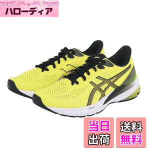 �y���������zasics(�A�V�b�N�X) �����Y GT.1000 12�����j���O�V���[�Y �F�F750(�u���C�g�C�G���[/�u���b�N)�A�T�C�Y�F27.0 cm 2E