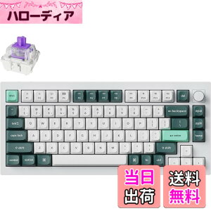 �y���������z�y�������K�i�zKeychron Q1 HE QMK���C�����X�E�J�X�^���L�[�{�[�h�A�z�[������Gateron�_�u�����[���}�O�l�b�g�X�C�b�`�A���s�b�h�g���K�[�A2.4 GHz/Bluetooth/�L���ڑ��ARGB���C�g�A�z�b