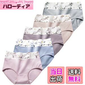 �y���������z[xreisi] ���f�B�[�X �V���[�c �� 1���Z�b�g4���Z�b�g 5���Z�b�g ���M�����[�V���[�c �p���c ���`�E�� �E����ɂ��� �E �ʋC�� ���K �E���킢�� ���� ���� �F�FXR-6104 /�V���[�c5���Z