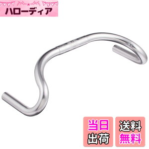 �y���������zNITTO(����) B130AA 92/ 100 0 ��25.4 SILVER 400 �F�F�V���o�[�A�T�C�Y�F��400mm ��25.4