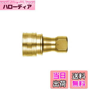 �y���������z�����H��(Nitto Kohki) SP-V�J�v��TypeA 2S-V-A BRASS FKM �F�F�S�[���h�A�T�C�Y�FR1/4
