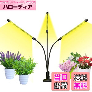 �y���������zbseah�����A���p�������C�g�A�S���X�y�N�g��LED�������C�g �F�F�u���b�N�A�T�C�Y�F�O�[1pcs