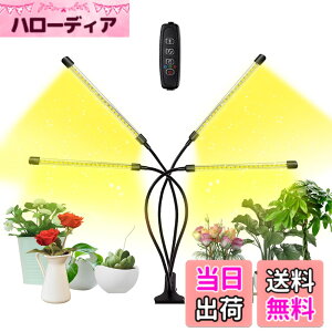 �y���������zbseah�����A���p�������C�g�A�S���X�y�N�g��LED�������C�g �F�F�u���b�N�A�T�C�Y�F�l�[1pcs