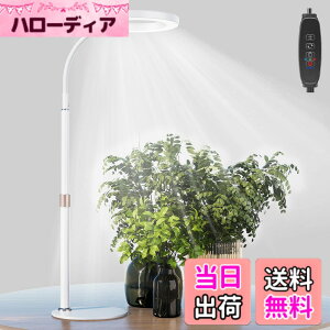 �y���������zbseah�����A���p�������C�g�A�S���X�y�N�g��LED�������C�g �F�F�z���C�g�A�T�C�Y�F��^-��