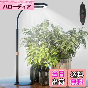 �y���������zbseah�����A���p�������C�g�A�S���X�y�N�g��LED�������C�g �F�F�u���b�N�A�T�C�Y�F��^-��