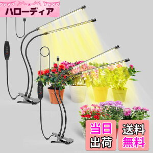 �y���������zbseah�����A���p�������C�g�A�S���X�y�N�g��LED�������C�g �F�F�u���b�N�A�T�C�Y�F���[2pcs