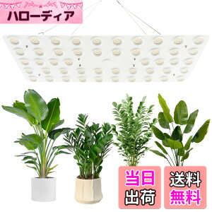 �y���������zbseah�����A���������A�S�X�y�N�g�������������A3��ނ̃��[�h��10���̒��� �T�C�Y�F�ʎq��240W