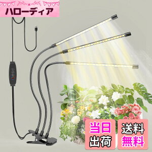 �y���������zbseah�����A���������A�S�X�y�N�g�������������A3��ނ̃��[�h��10���̒��� �T�C�Y�F�O�[1pcs